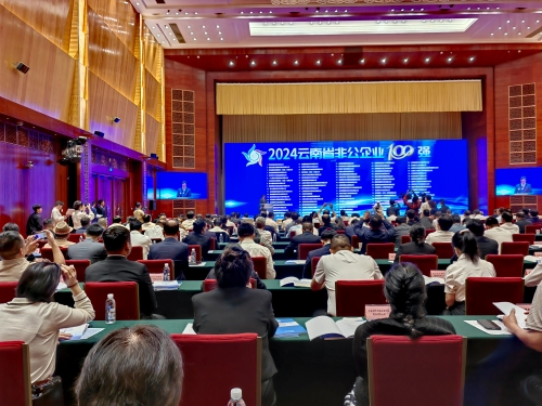 2024云南省非公企业100强公布！
