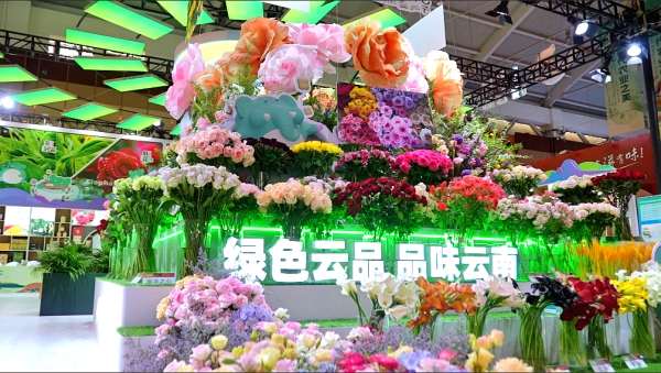 第九届南博会现代农业馆开馆
